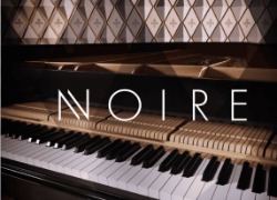 Native Instruments Noire